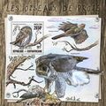 CENTRAL AFRICA 2016 SHEET MNH BIRDS OF PREY OIS...