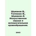 Shumakov V, Tolpekin V., Shumakov D. Artificial heart and auxiliary blood circ