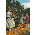 Region Valenciana Typical Group Spain Postcard ...