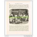 PARSEE COTTON MERCHANTS OF BOMBAY (Mumbai), IND...