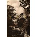Cliff Walk, Sandown, IOW, N.1119 RP Spicer Post...