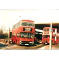 Colour Photograph of London Transport - WYW 8T