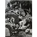 OTTER HUNTING IN CUMBERLAND - THE OTTER CORNERE...