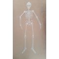4 ft Tall Spooky Halloween Plastic Skeleton Joi...
