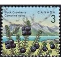 CANADA, 1991 3c Black Crowberry, SG 1462 (Scott...