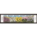 1995 Jersey, Wild flowers, NH Mint Strip of Sta...