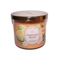 Farmstand Melon Candle Goose Creek 14.5oz Scent...