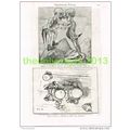 ANTI-GERMAN HUMOUR!, BOOK-PLATE/PRINT c1895