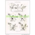 THE FINISHING TOUCH, ARTISTIC HUMOUR, BOOK-PLAT...