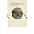 Beachy Head, Sussex, England, Book Illustration...