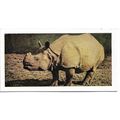 Wild Animals 1958 Horniman's Tea Card 46 - Rhin...