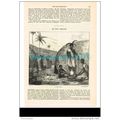 A ZULU KRAAL, SOUTH AFRICA, BOOK ILLUSTRATION/P...