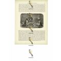 Turkoman Tent, Interior, Turkistan, Book Illust...