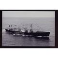 US0757 - C3 Cargo Ship - Marjorie Lykes , (USA)...