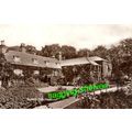 Kent - HAWKHURST - Queens Hotel - RP - p/u 1910