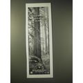 2003 U.S. Forest Service Ad - The most dangerous animals in the forest