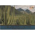ZAYIX Postcard Organ Pipe Cactus National Monum...