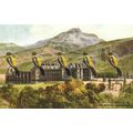 Palace of Holyrood House, Edinburgh, Valentines...