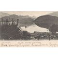 Glen Dhu Lake Wanaka New Zealand Old Postcard