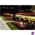GLC Parks Department Postcard - Horniman Garden...