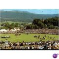 Scotland Postcard - The Royal Braemar Gathering...