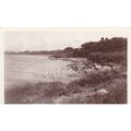 Peaceful Heysham Lancashire Postcard (Lan5515)