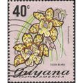 GUYANA, FLOWERS, Orchid Tiger Beard, pale lilac 1972, 40c