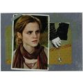 Harry Potter And The Deathly Hallows FOIL BOX T...