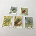 1985 .. Insects