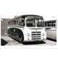 Black & White Photograph of Stoddard's Ltd. of ...