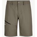 Salewa - Iseo Dry Shorts Mens S, M, L, XL, 2XL ...