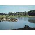 Milano Parco Lambro Italy Postcard unused creased