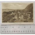 1930 postcard Princess Gardens, Torquay