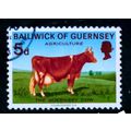 GUERNSEY 1970 SG 37 5d GUERNSEY COW FINE USED #