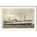 Swedish East Asia Co. MV CEYLON Company Postcard