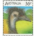 AUSTRALIA, BIRDS, Emu, Dromaius novaehollandiae...