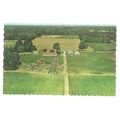 TYPICAL TOBACCO FARMING, ONTARIO, CANADA unused...