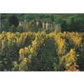 Le Chateau de couches Bourgogne France Postcard...