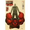 Hulk (Red) # 023 NM MODERN AGE COMICS