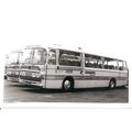 Black & White Photograph of Seamarks Brothers L...