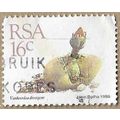 Vanheerdea divergens 14053