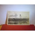 RICE FIELD, HONOLULU, HAWAII, USA unused antique postcard RP =