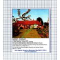 Thursley Surrey House Advert - 1991 Cutting