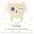 Wooden Owl Coasters Friends are the Family we c...