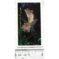 1990 Grandee Britain's Nocturnal Wildlife 13 Ni...