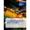 A Pictorial Field Guide to the Woody Plants of ...