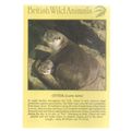 OTTER...unused postcard animals by J.Arthur Dix...
