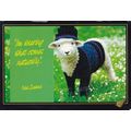 New Zealand Sheep Farming Postcard posted 2005 ...