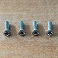 Chrome Petrol Tank Badge Screws F11339 Triumph ...