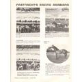 fastnachts racing arabians 1972 gydin shahzal a...